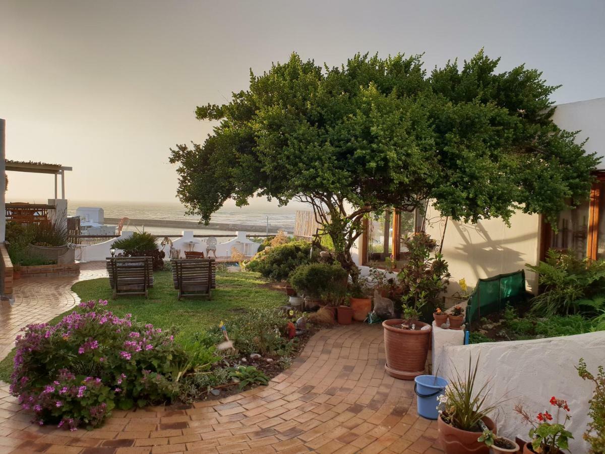 Saxon Lodge Gansbaai Zewnętrze zdjęcie